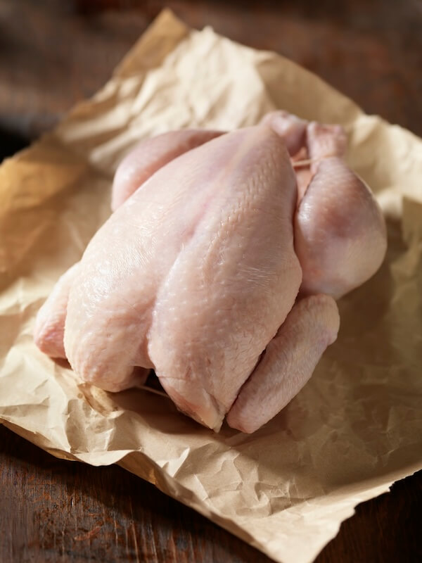 Poultry and chicken
